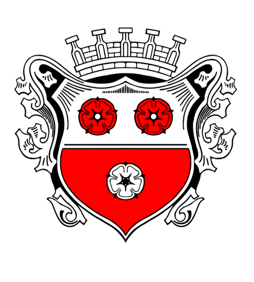 Wappen der Stadt Moosburg.