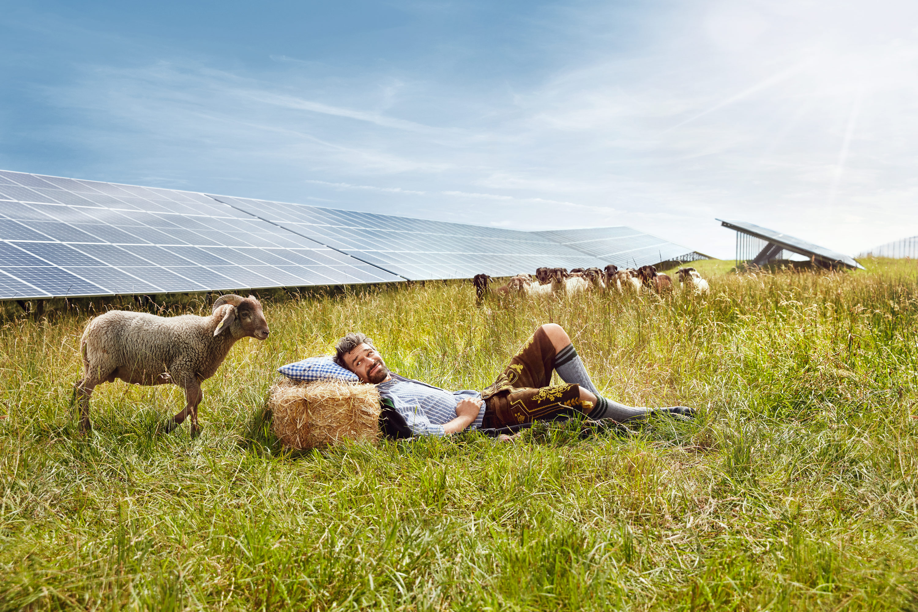 Ein Mann in Lederhose liegt auf der Wiese eines Solarparks, neben ihm ist eine Schafherde