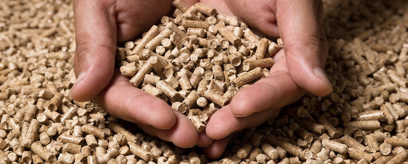 Zwei Hände halten Pellets und sind umgeben von Pellets.