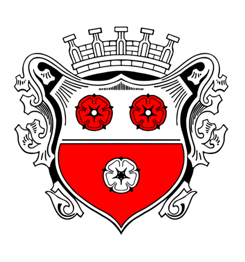 Wappen der Stadt Moosburg.